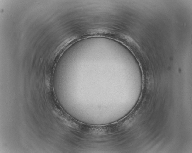 X0000060801217200511241902