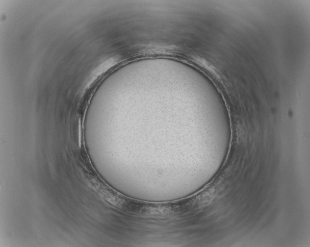 X0000060801219200511241902