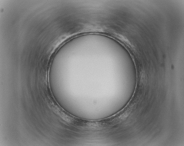 X0000060801220200511241902