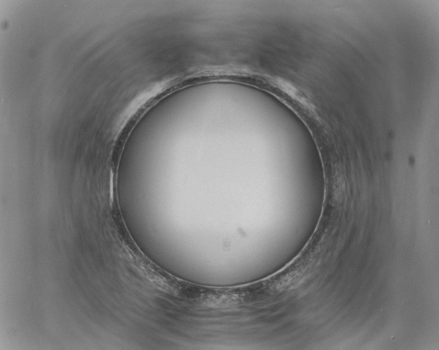 X0000060801221200511241902