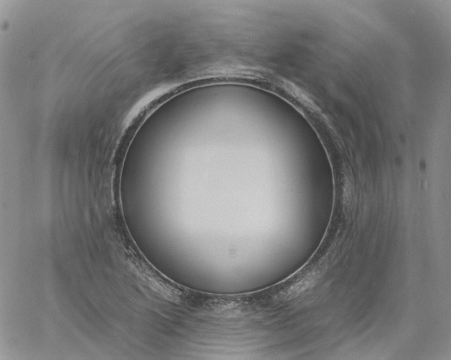 X0000060801222200511241902