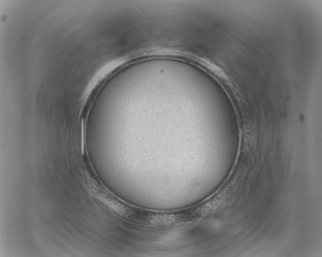 X0000060801223200511241902