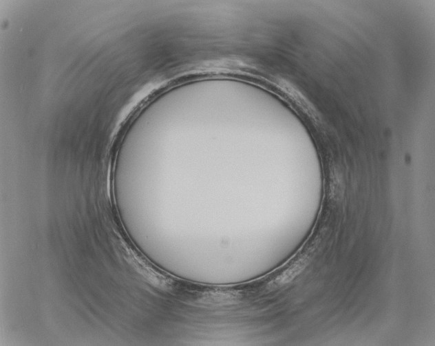 X0000060801224200511241902