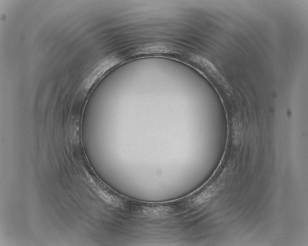 X0000060801225200511241902