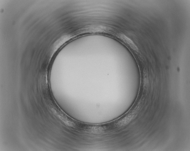 X0000060801226200511241902