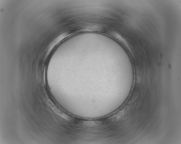 X0000060801227200511241902