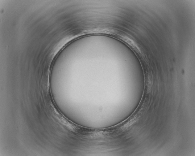 X0000060801228200511241902