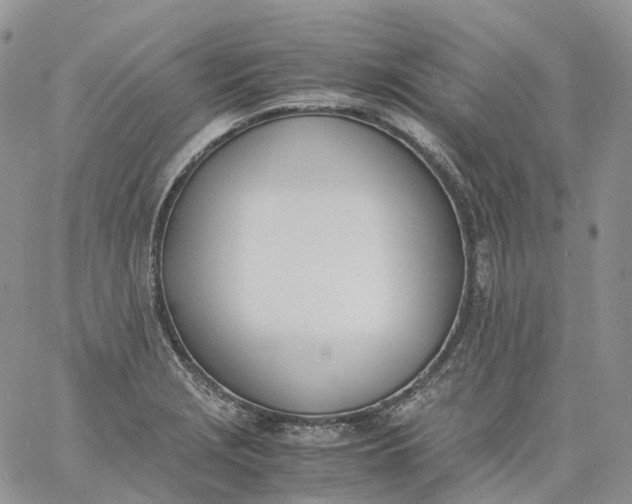 X0000060801229200511241902