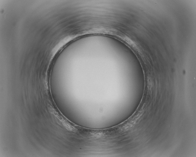 X0000060801230200511241902