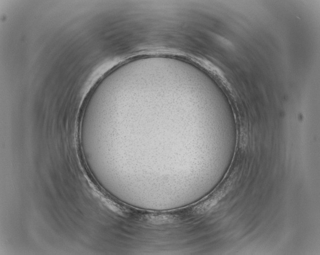 X0000060801231200511241902