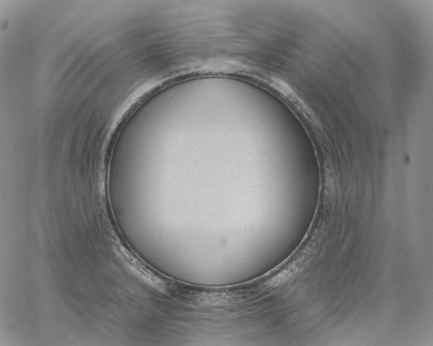 X0000060801232200511241902