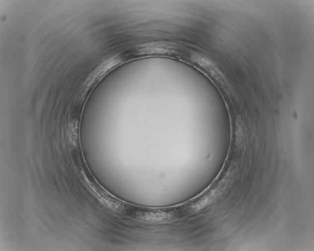 X0000060801233200511241902