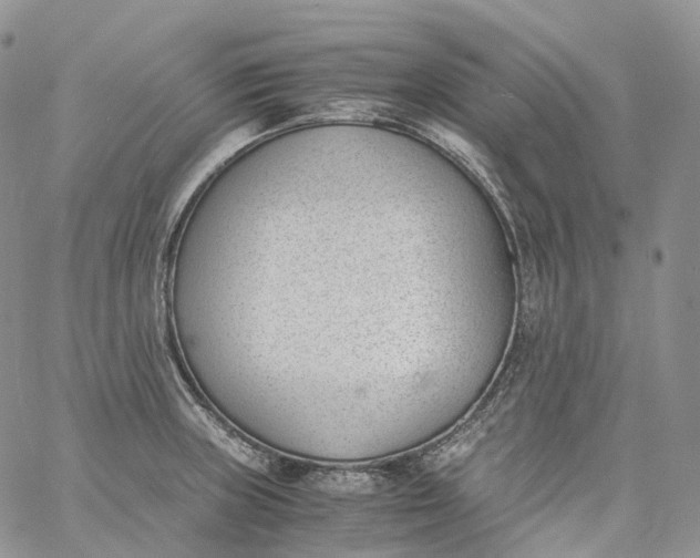 X0000060801235200511241902