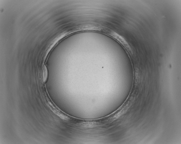 X0000060801236200511241902