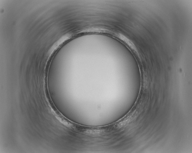 X0000060801237200511241902