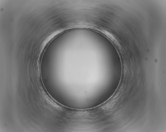 X0000060801238200511241902