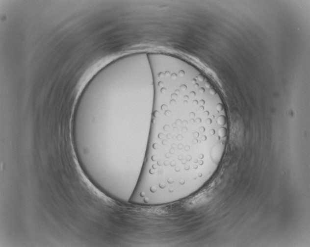 X0000060801239200511241902