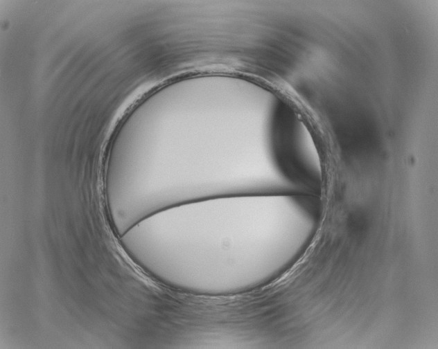 X0000060801240200511241902