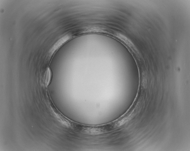 X0000060801241200511241902