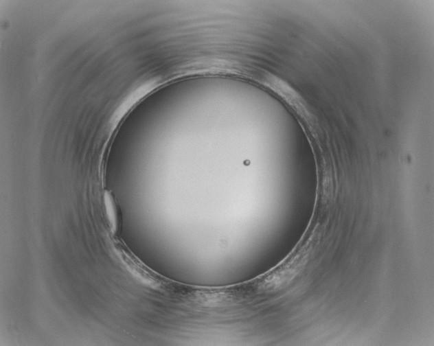 X0000060801242200511241902