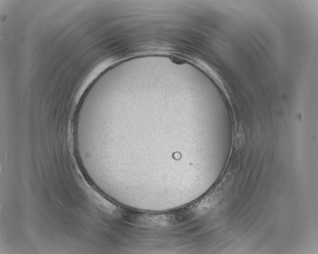 X0000060801243200511241902