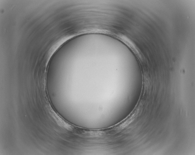 X0000060801244200511241902