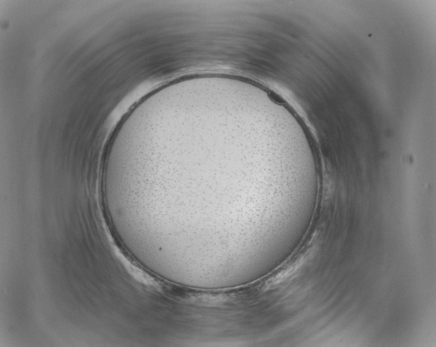 X0000060801245200511241902