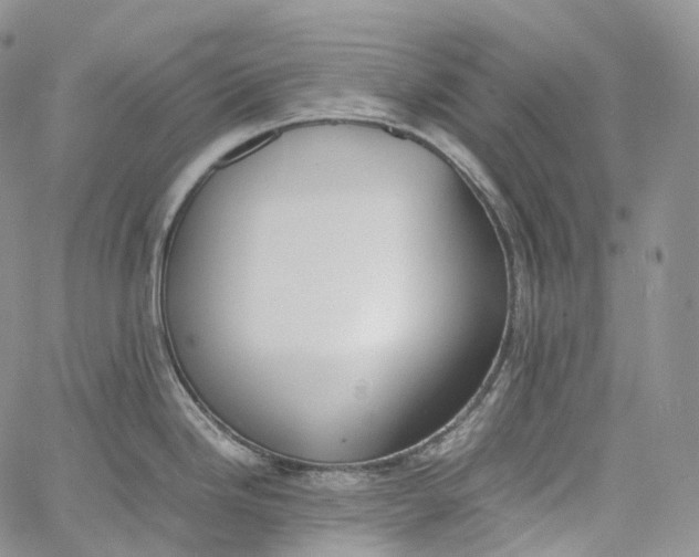 X0000060801246200511241902