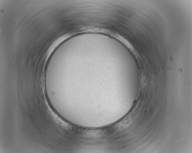 X0000060801247200511241902