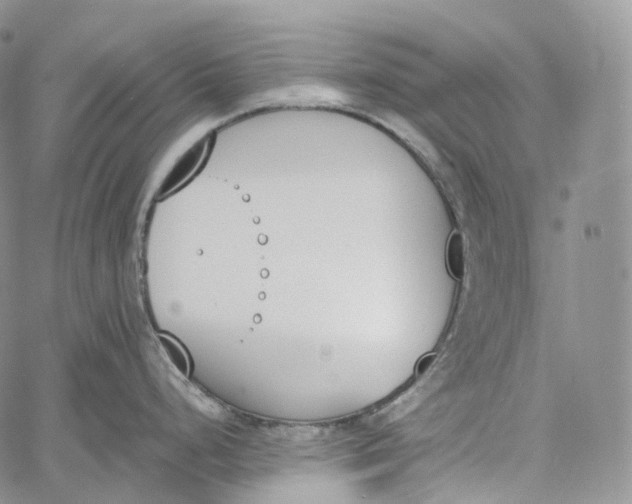 X0000060801248200511241902