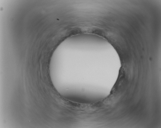 X0000060801249200511241901