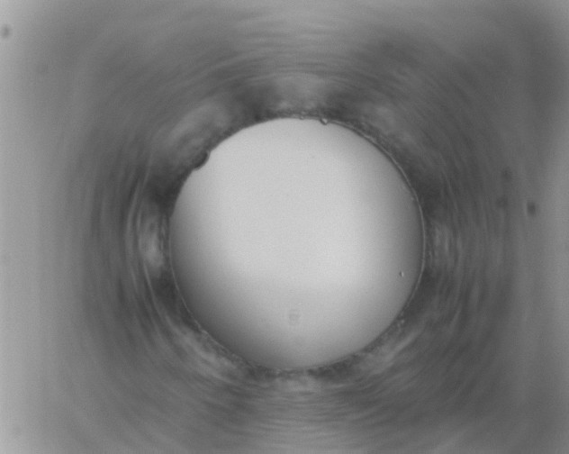 X0000060801250200511241901