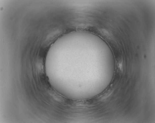 X0000060801252200511241901