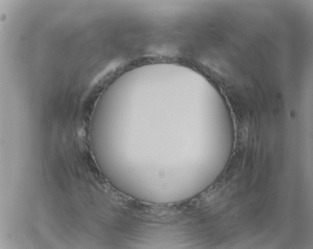 X0000060801254200511241901