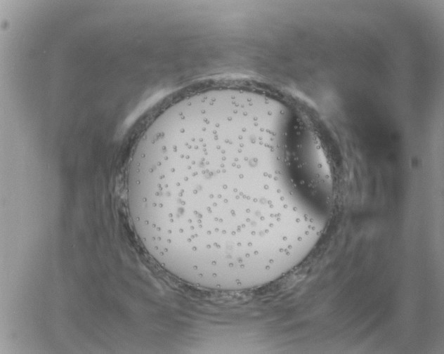 X0000060801255200511241901