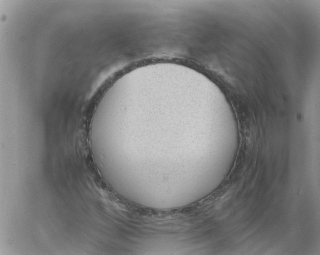 X0000060801256200511241901