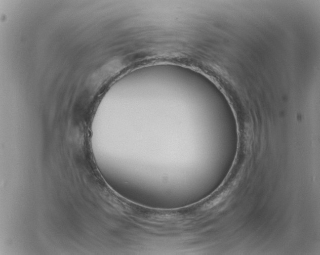 X0000060801257200511241901