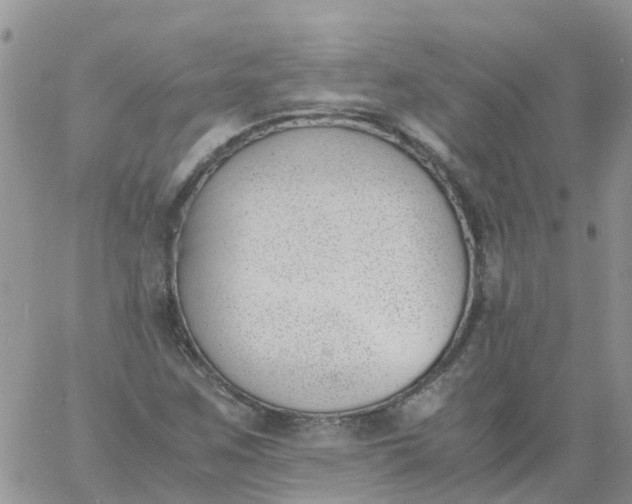 X0000060801259200511241901