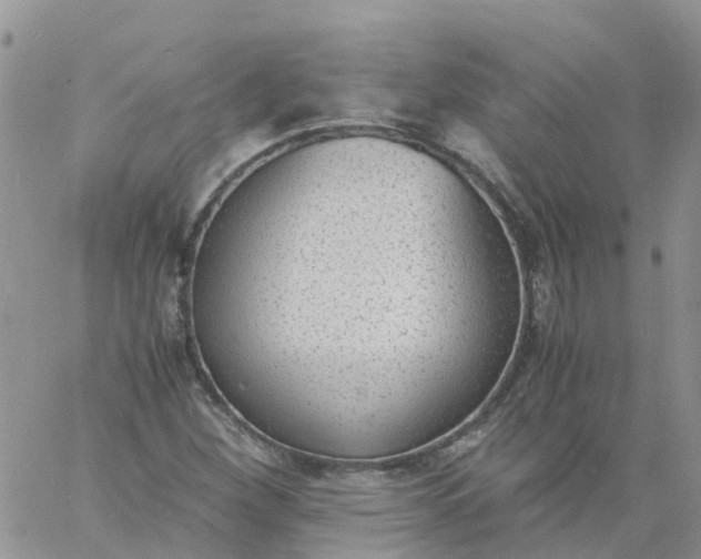 X0000060801260200511241901