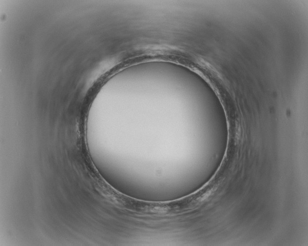 X0000060801261200511241901