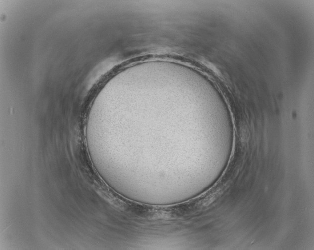 X0000060801263200511241901