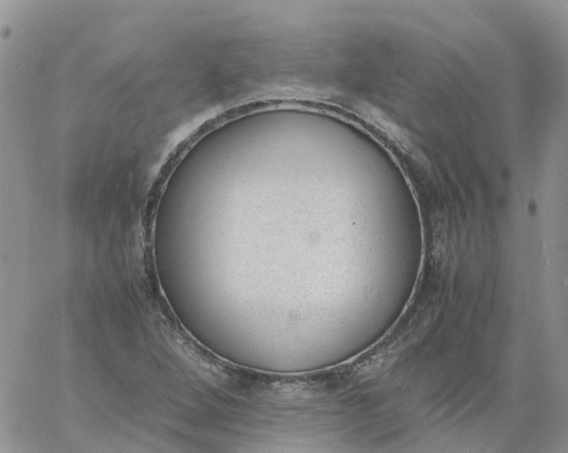 X0000060801264200511241901