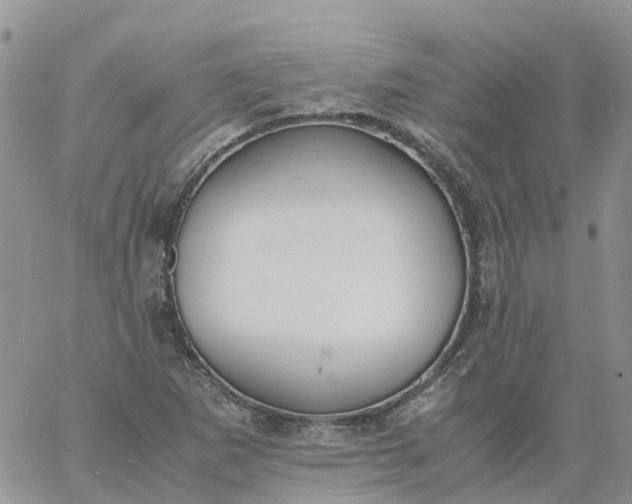 X0000060801265200511241901