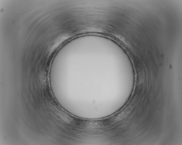 X0000060801266200511241901