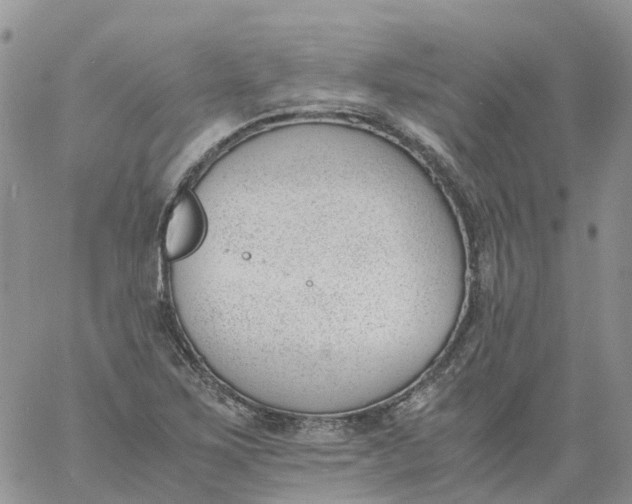 X0000060801267200511241901