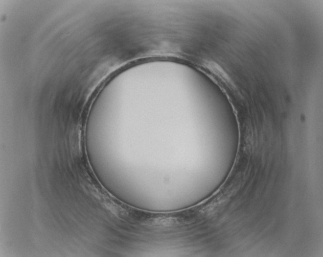 X0000060801268200511241901