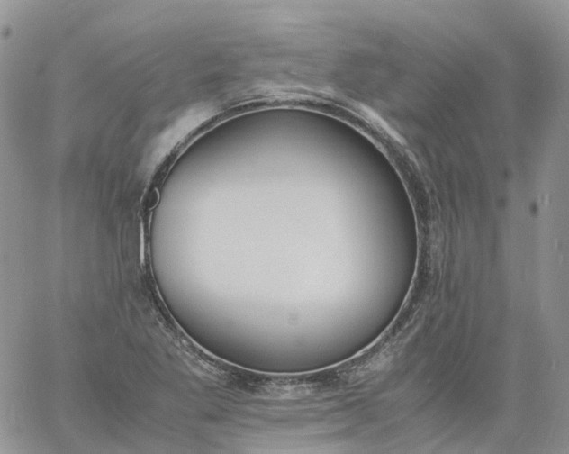 X0000060801269200511241901