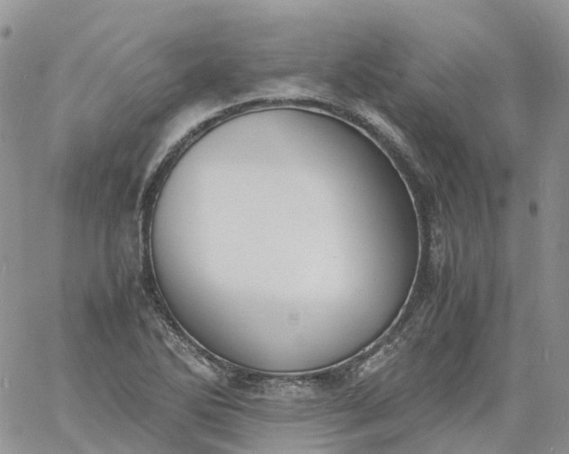 X0000060801270200511241901