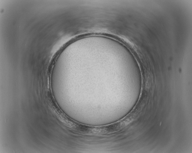 X0000060801271200511241901