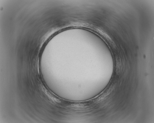 X0000060801272200511241901